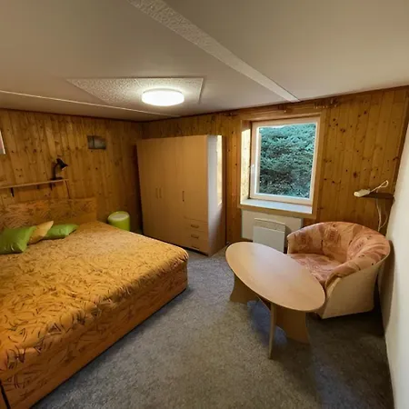 U Sjezdovky Apartment *